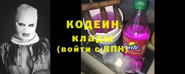 ПСИЛОЦИБИНОВЫЕ ГРИБЫ Арсеньев