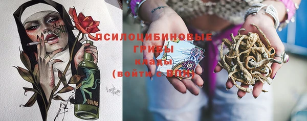 ПСИЛОЦИБИНОВЫЕ ГРИБЫ Арсеньев