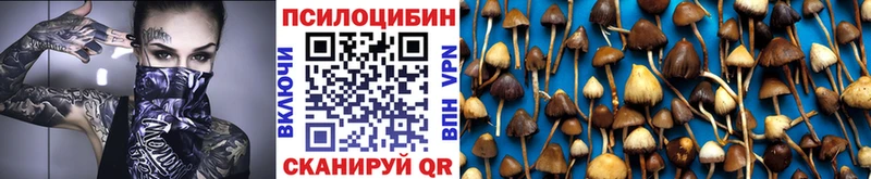 Псилоцибиновые грибы мицелий  Зеленокумск 